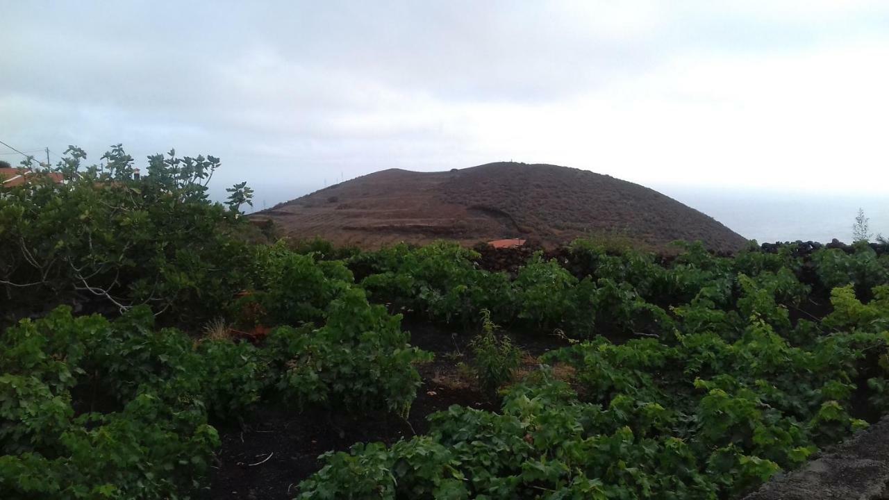 Casa Rural Domingo Pio Echedo ภายนอก รูปภาพ